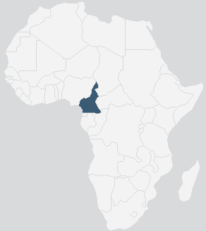 DroitAfrique  Portail du droit camerounais